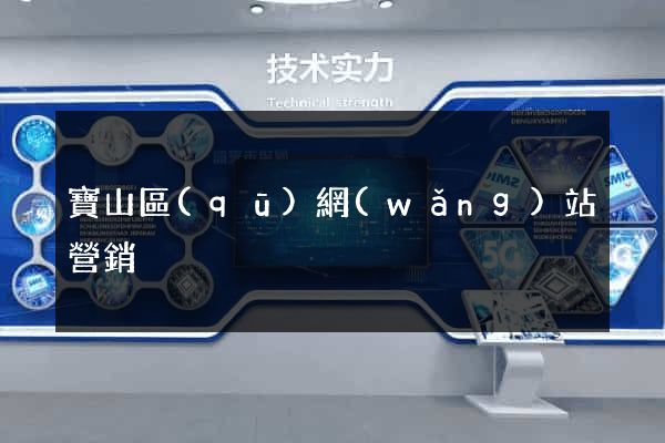 寶山區(qū)網(wǎng)站營銷