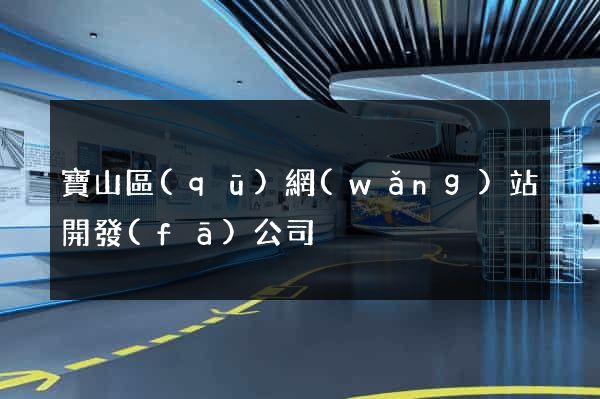 寶山區(qū)網(wǎng)站開發(fā)公司