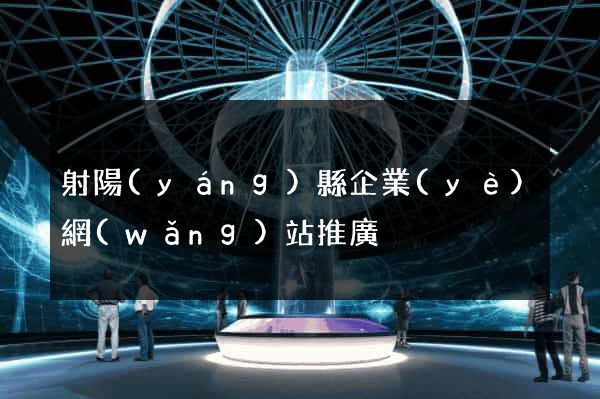 射陽(yáng)縣企業(yè)網(wǎng)站推廣