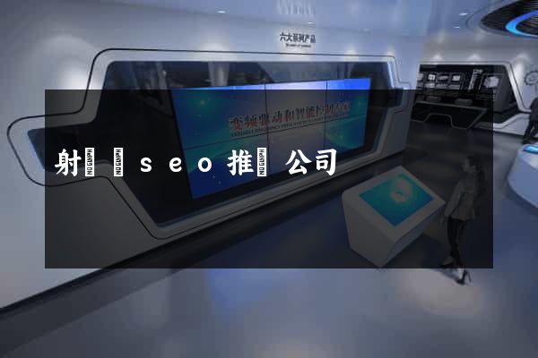射陽縣seo推廣公司
