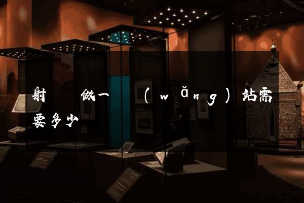 射陽縣做一個網(wǎng)站需要多少錢