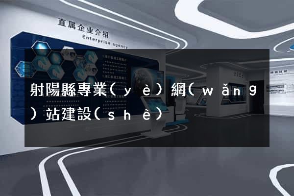 射陽縣專業(yè)網(wǎng)站建設(shè)