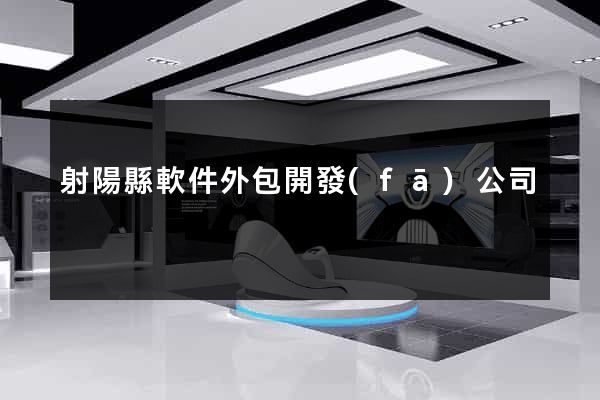 射陽縣軟件外包開發(fā)公司
