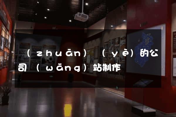 專(zhuān)業(yè)的公司網(wǎng)站制作