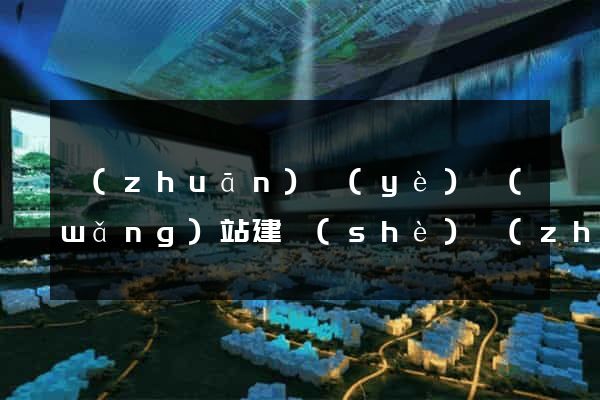 專(zhuān)業(yè)網(wǎng)站建設(shè)專(zhuān)業(yè)公司