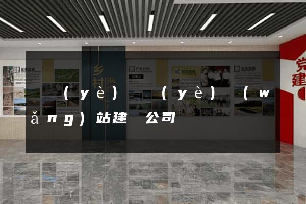 專業(yè)專業(yè)網(wǎng)站建設公司