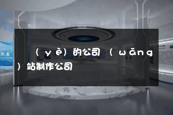 專業(yè)的公司網(wǎng)站制作公司