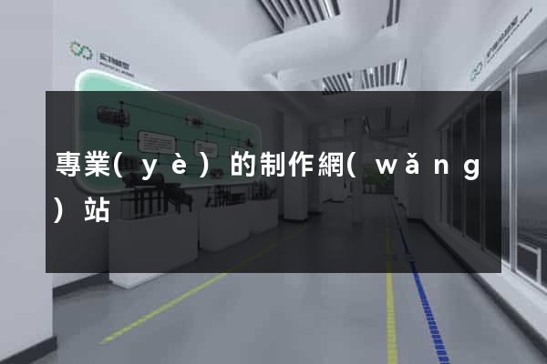 專業(yè)的制作網(wǎng)站