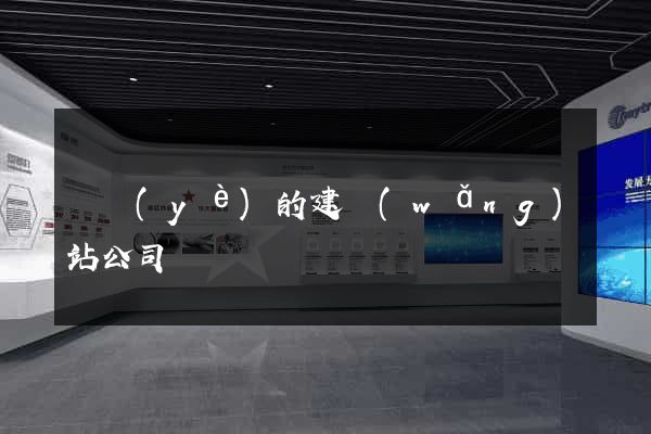 專業(yè)的建網(wǎng)站公司
