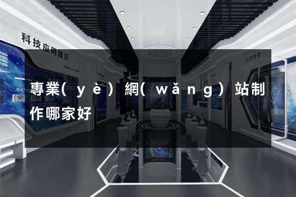 專業(yè)網(wǎng)站制作哪家好