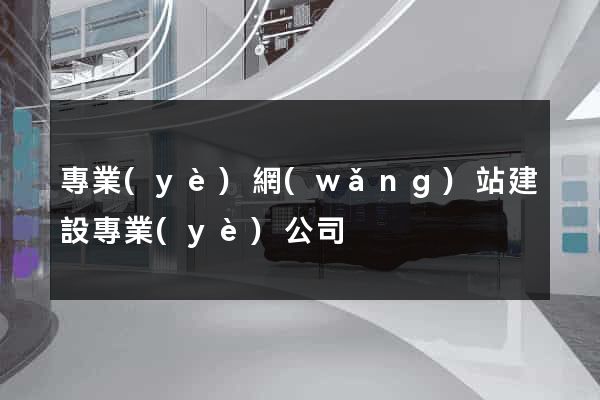 專業(yè)網(wǎng)站建設專業(yè)公司