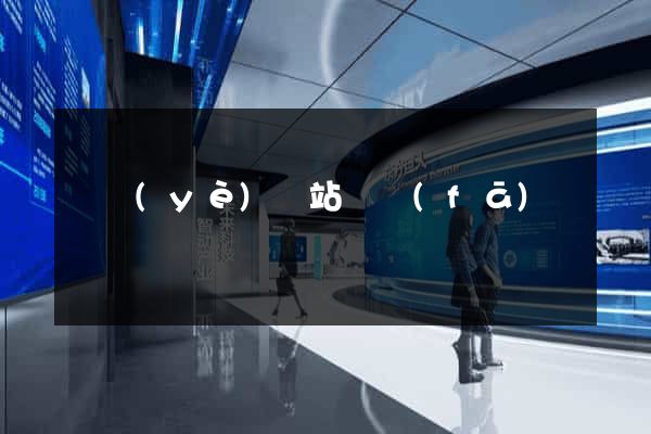 專業(yè)網站開發(fā)