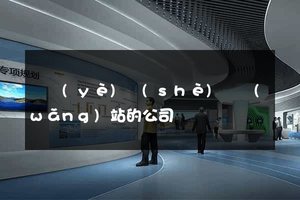 專業(yè)設(shè)計網(wǎng)站的公司