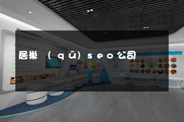 居巢區(qū)seo公司