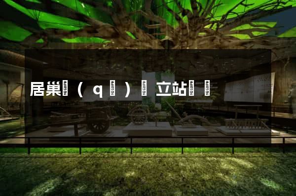 居巢區(qū)獨立站運營
