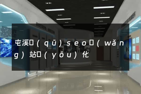 屯溪區(qū)seo網(wǎng)站優(yōu)化