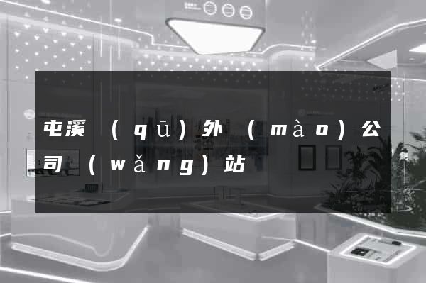 屯溪區(qū)外貿(mào)公司網(wǎng)站