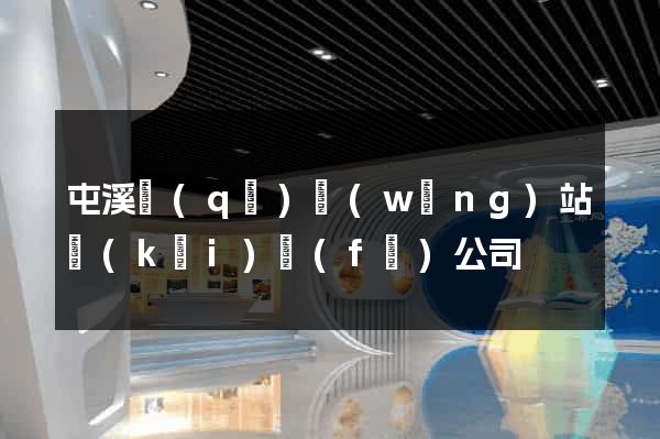 屯溪區(qū)網(wǎng)站開(kāi)發(fā)公司