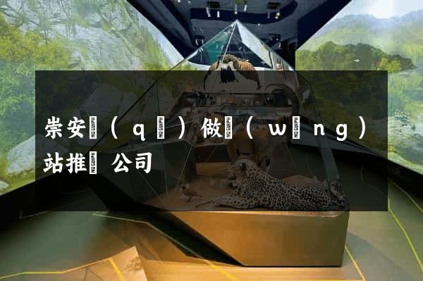 崇安區(qū)做網(wǎng)站推廣公司