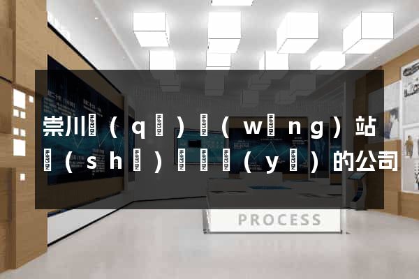 崇川區(qū)網(wǎng)站設(shè)計專業(yè)的公司