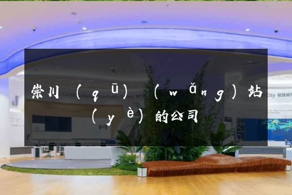 崇川區(qū)網(wǎng)站設計專業(yè)的公司
