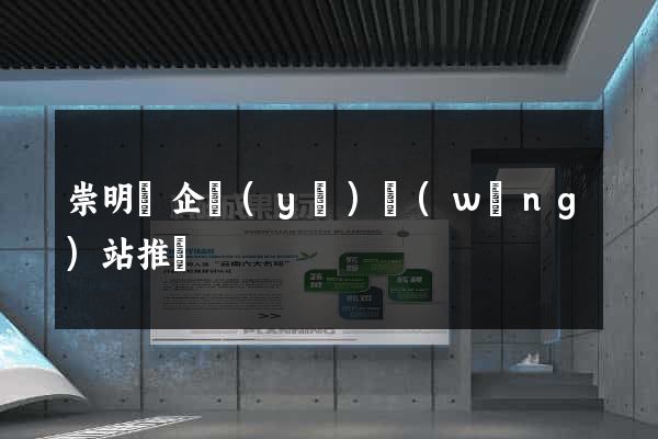 崇明縣企業(yè)網(wǎng)站推廣