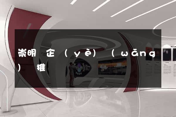 崇明縣企業(yè)網(wǎng)絡推廣