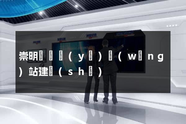 崇明縣專業(yè)網(wǎng)站建設(shè)