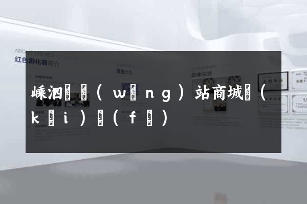 嵊泗縣網(wǎng)站商城開(kāi)發(fā)