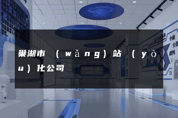 巢湖市網(wǎng)站優(yōu)化公司