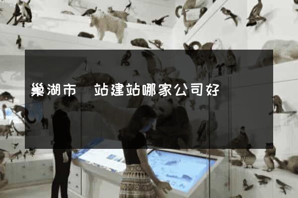 巢湖市網站建站哪家公司好