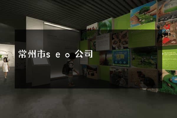常州市seo公司