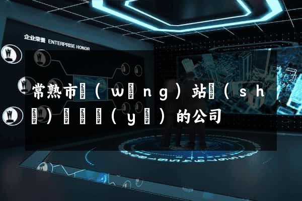 常熟市網(wǎng)站設(shè)計專業(yè)的公司