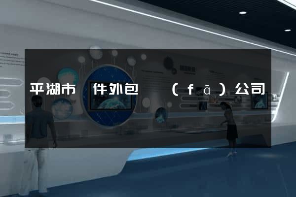 平湖市軟件外包開發(fā)公司