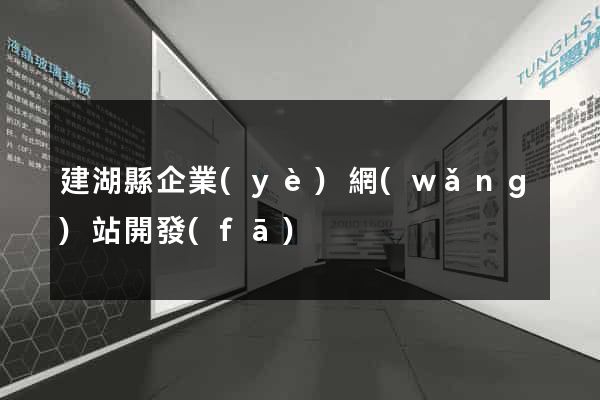 建湖縣企業(yè)網(wǎng)站開發(fā)
