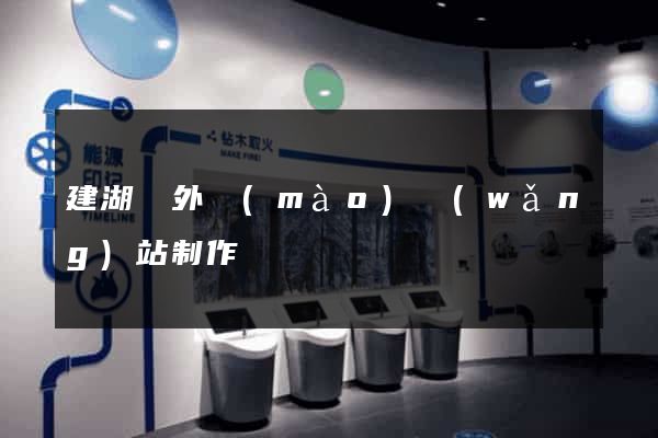 建湖縣外貿(mào)網(wǎng)站制作