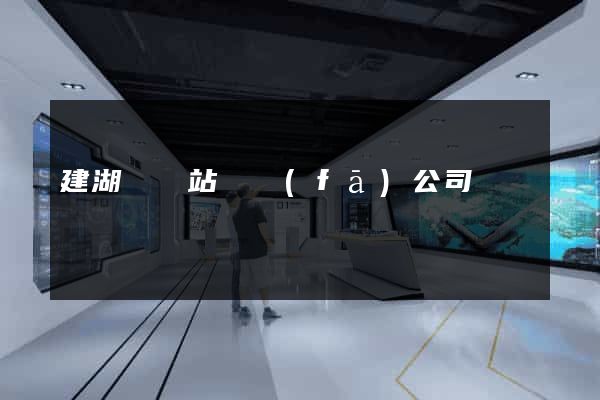 建湖縣網站開發(fā)公司