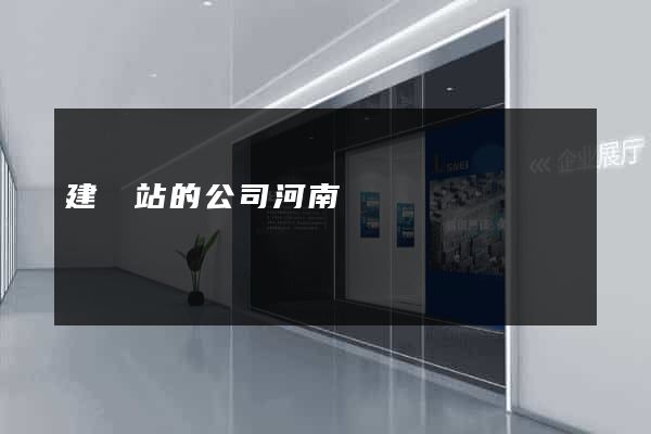 建網站的公司河南