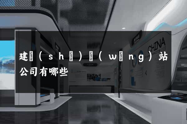 建設(shè)網(wǎng)站公司有哪些