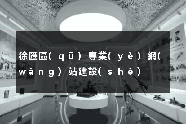 徐匯區(qū)專業(yè)網(wǎng)站建設(shè)