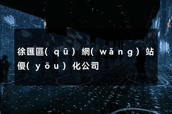 徐匯區(qū)網(wǎng)站優(yōu)化公司