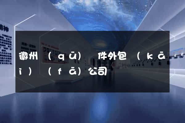 徽州區(qū)軟件外包開(kāi)發(fā)公司