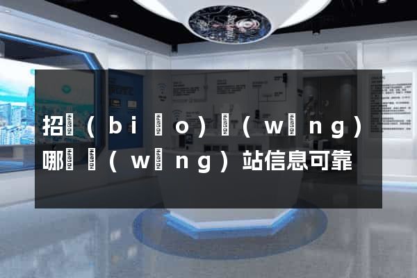 招標(biāo)網(wǎng)哪個網(wǎng)站信息可靠