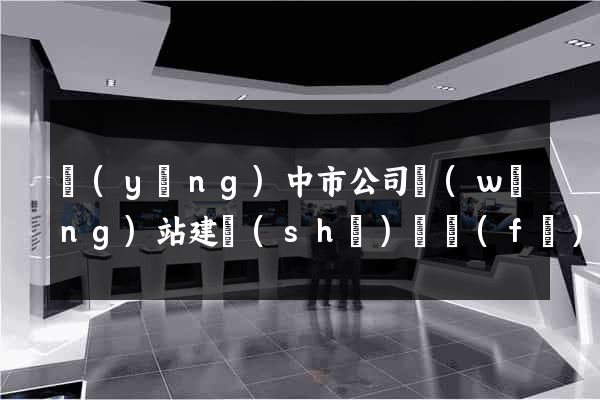 揚(yáng)中市公司網(wǎng)站建設(shè)開發(fā)