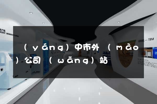 揚(yáng)中市外貿(mào)公司網(wǎng)站