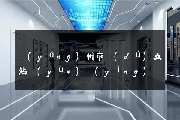 揚(yáng)州市獨(dú)立站運(yùn)營(yíng)
