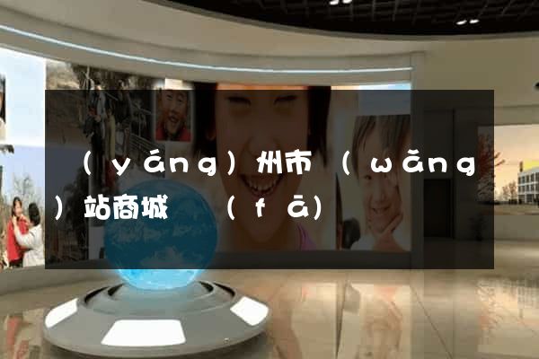 揚(yáng)州市網(wǎng)站商城開發(fā)