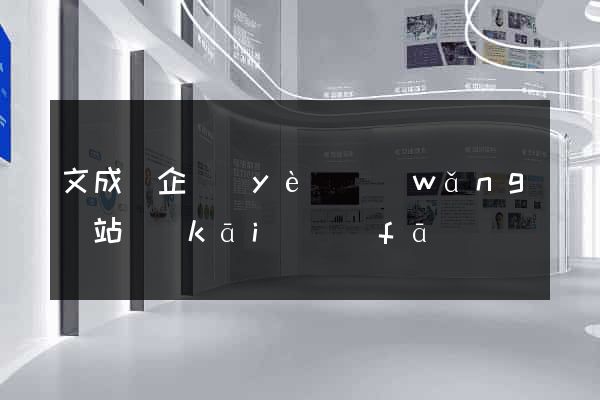文成縣企業(yè)網(wǎng)站開(kāi)發(fā)