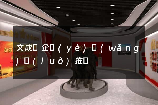 文成縣企業(yè)網(wǎng)絡(luò)推廣