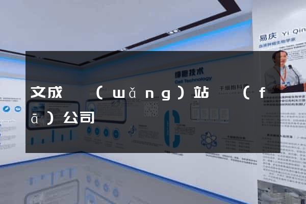 文成縣網(wǎng)站開發(fā)公司